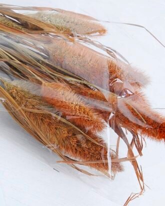 Dried Flowers 15*70CM PENNISETUM ALOPECUROIDES 70g GS-56619020