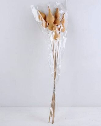 Dried Flowers Pumpkin GS-56619053