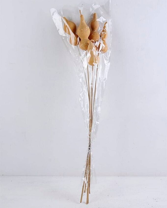 Dried Flowers Pumpkin GS-56619053