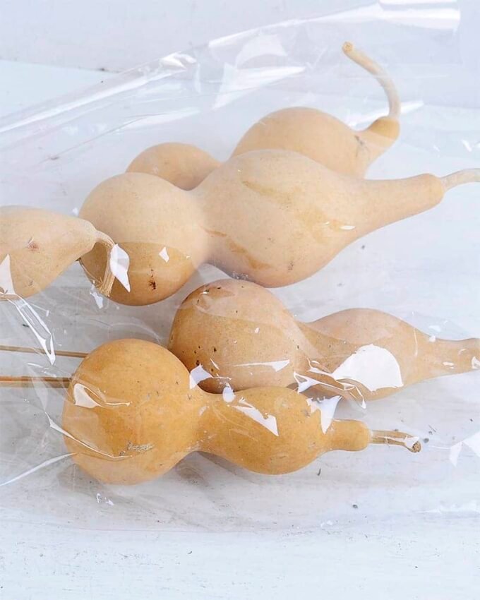 Dried Flowers Pumpkin GS-56619053