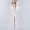 Dried Flowers 10*68CM Rattan weaving bush*5 GS-56619029