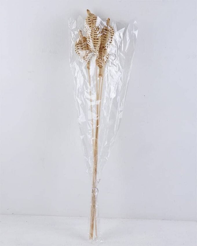 Dried Flowers 10*68CM Rattan weaving bush*5 GS-56619029