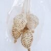 Dried Flowers 10*68CM Rattan weaving bush*5 GS-56619029