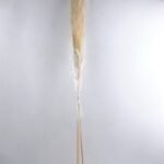 Dried Flowers 24*157CM Reed*3 GS-56619057