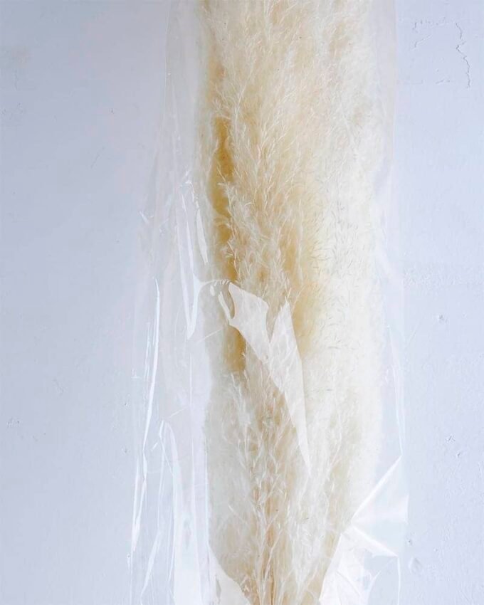 Dried Flowers 24*157CM Reed*3 GS-56619057