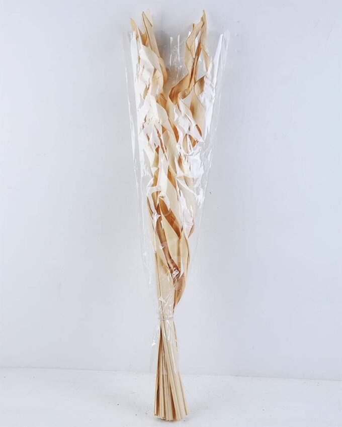 Dried Flowers 13*85CM Roll of sword leaf bush*8 GS-56619007