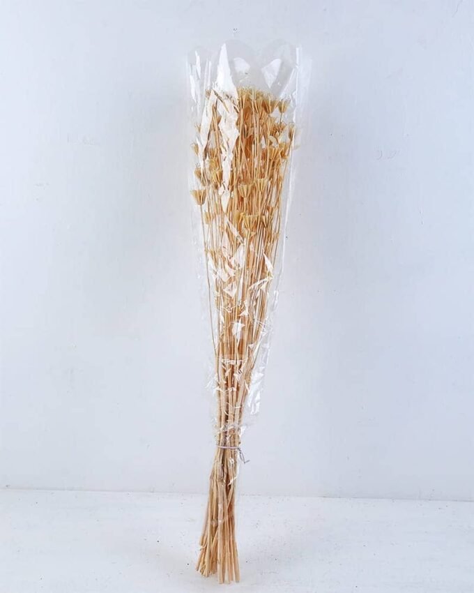 Dried Flowers 13*68CM SORBARIA SORBIFOLIA GS-56619041