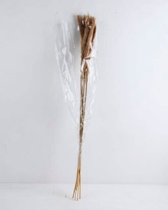 Dried Flowers Singel Reed GS-56619048