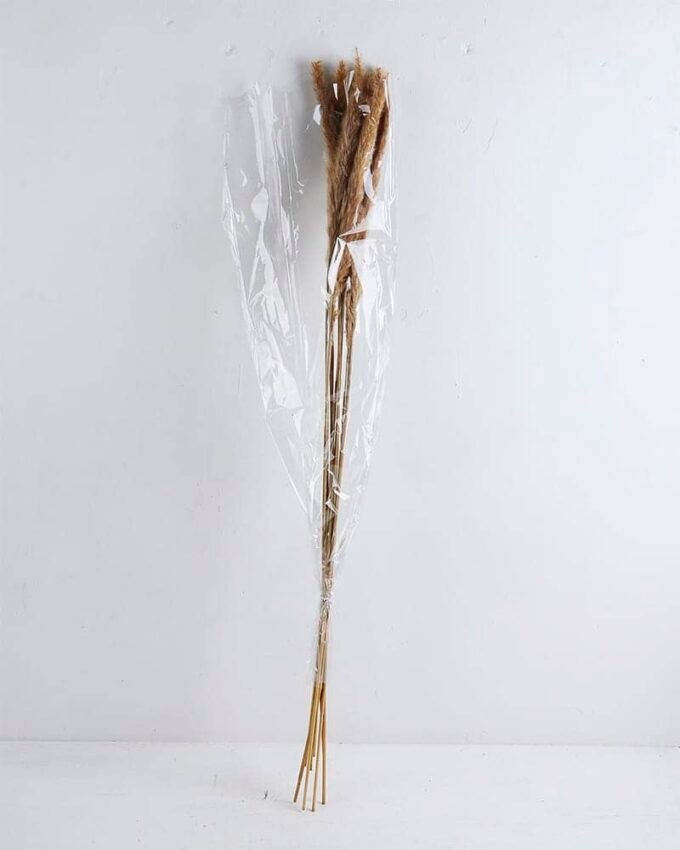 Dried Flowers Singel Reed GS-56619048