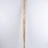 Dried Flowers 7*155CM Small reed rod bush*20 GS-56619006