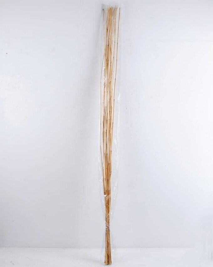 Dried Flowers 7*155CM Small reed rod bush*20 GS-56619006