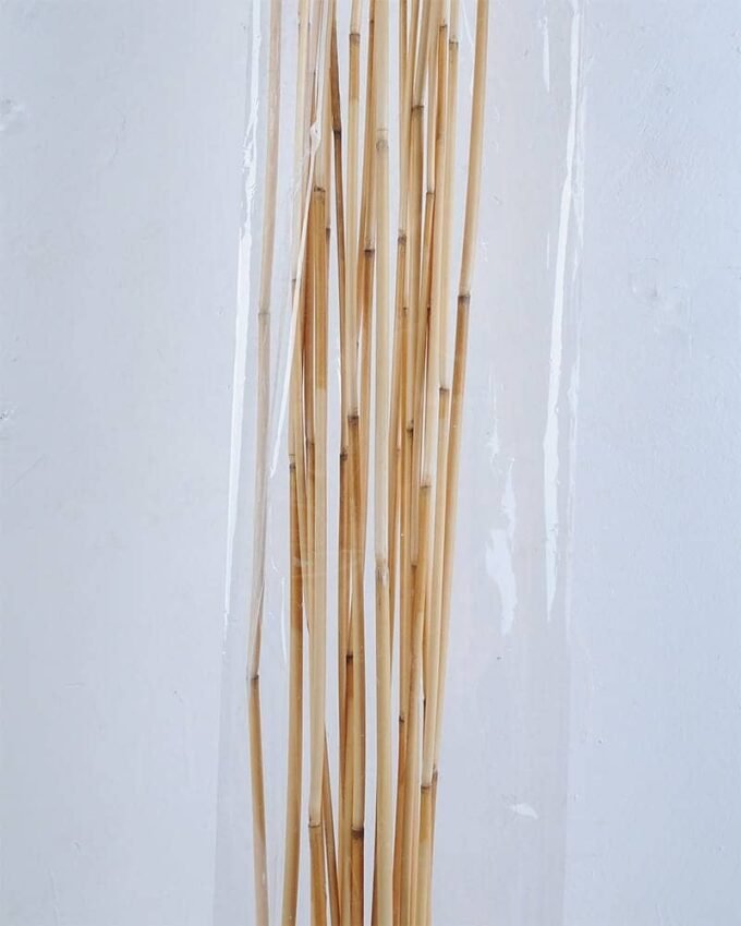 Dried Flowers 7*155CM Small reed rod bush*20 GS-56619006