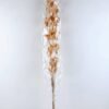 Dried Flowers 15*113CM THLASPI ARVENSE BUSH*8 GS-56619042