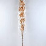 Dried Flowers 15*113CM THLASPI ARVENSE BUSH*8 GS-56619042