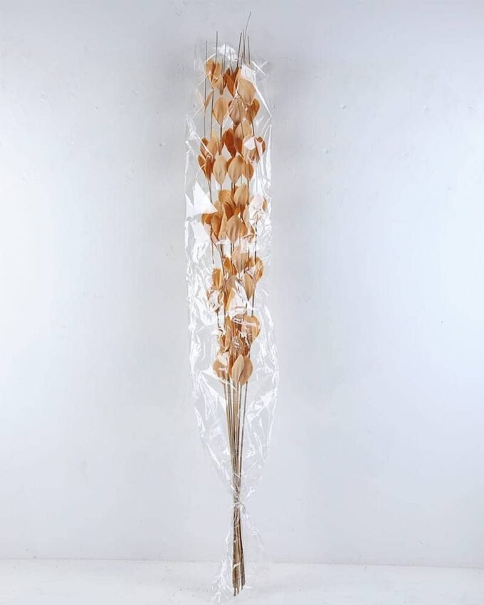 Dried Flowers 15*113CM THLASPI ARVENSE BUSH*8 GS-56619042