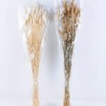 Dried Flowers 18*76CM The rabbit tail grass 50g GS-56619010