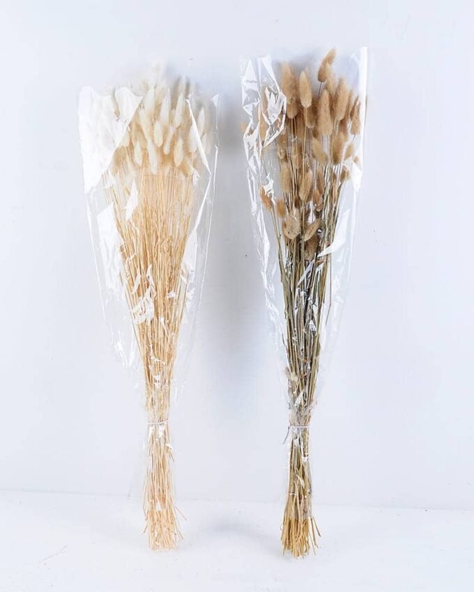 Dried Flowers 18*76CM The rabbit tail grass 50g GS-56619010