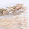 Dried Flowers 18*76CM The rabbit tail grass 50g GS-56619010