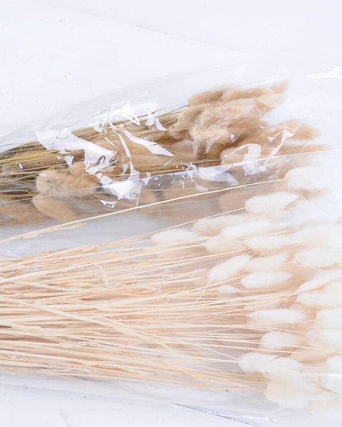 Dried Flowers 18*76CM The rabbit tail grass 50g GS-56619010
