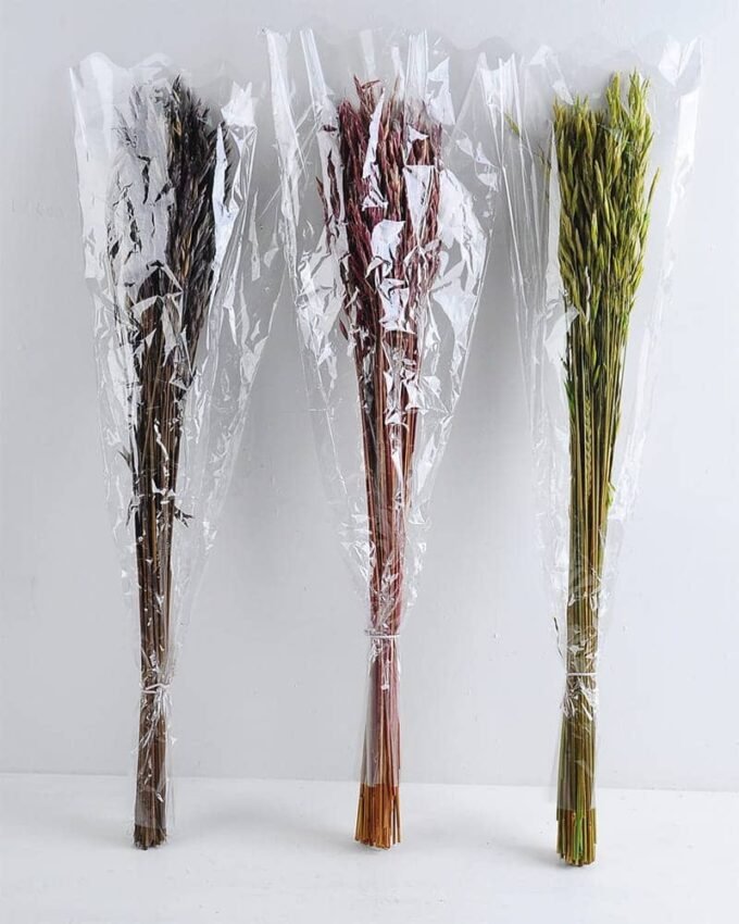 Dried Flowers 10*70CM avena fatua 70g GS-56619024
