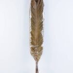 Dried Flowers 17*100CM cycas revoluta bush*5 GS-56619004