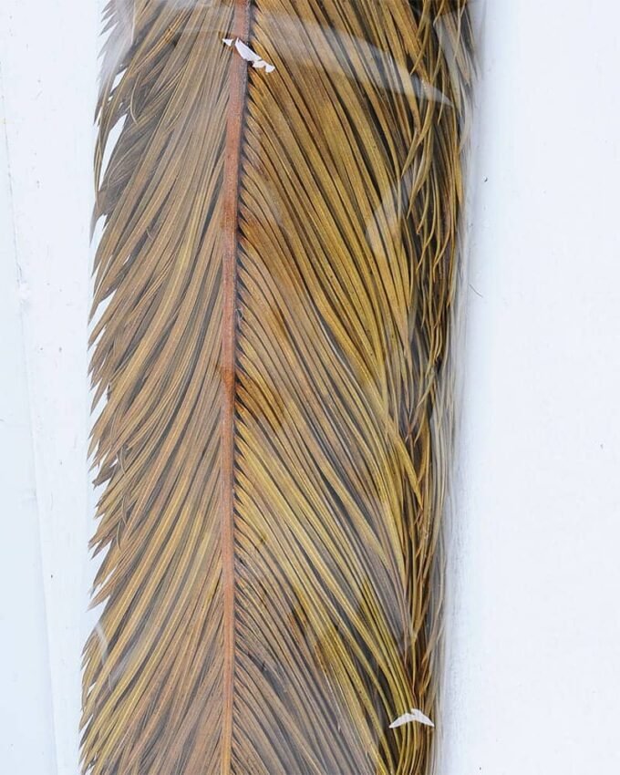 Dried Flowers 17*100CM cycas revoluta bush*5 GS-56619004