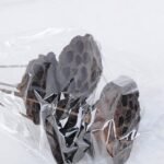 Dried Flowers 20*54CM elumbo mucifera bush*5 GS-56619014