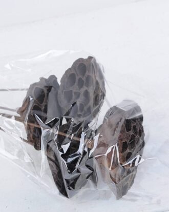 Dried Flowers 20*54CM elumbo mucifera bush*5 GS-56619014