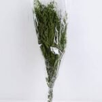 Dried Flowers 16*80CM lavandula angustifolia 70g GS-56619011-G1