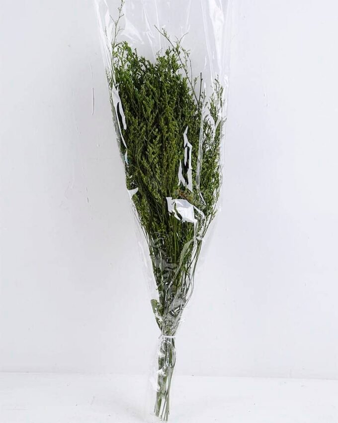 Dried Flowers 16*80CM lavandula angustifolia 70g GS-56619011-G1