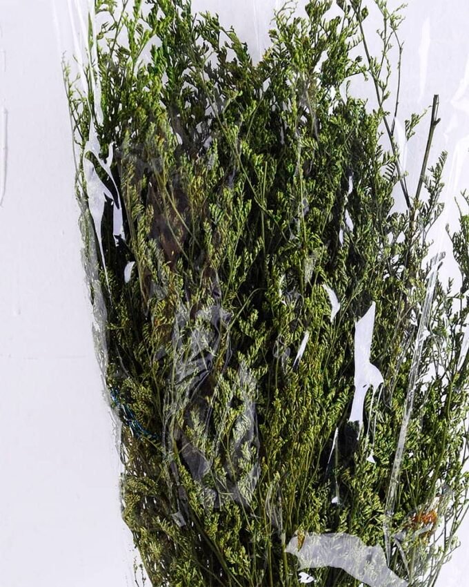 Dried Flowers 16*80CM lavandula angustifolia 70g GS-56619011-G1