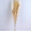 Dried Flowers 16*80CM lavandula angustifolia 70g GS-56619011-W1