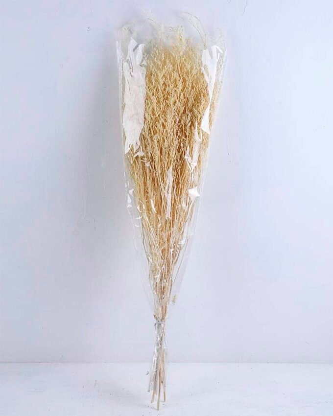 Dried Flowers 16*80CM lavandula angustifolia 70g GS-56619011-W1