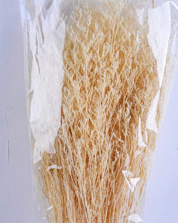 Dried Flowers 16*80CM lavandula angustifolia 70g GS-56619011-W1