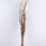 Dried Flowers 13*85CM leonrus japenicus GS-56619013-K1
