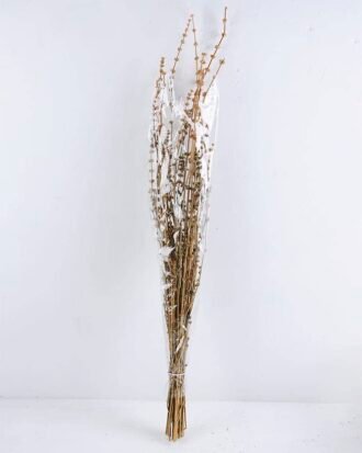 Dried Flowers 13*85CM leonrus japenicus GS-56619013-K1