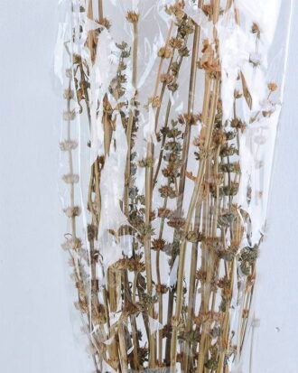 Dried Flowers 13*85CM leonrus japenicus GS-56619013-K1