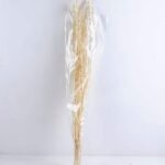 Dried Flowers 13*85CM leonrus japenicus GS-56619013-W1