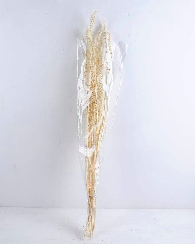 Dried Flowers 13*85CM leonrus japenicus GS-56619013-W1 1 Dried Flowers 13*85CM leonrus japenicus GS-56619013-W1