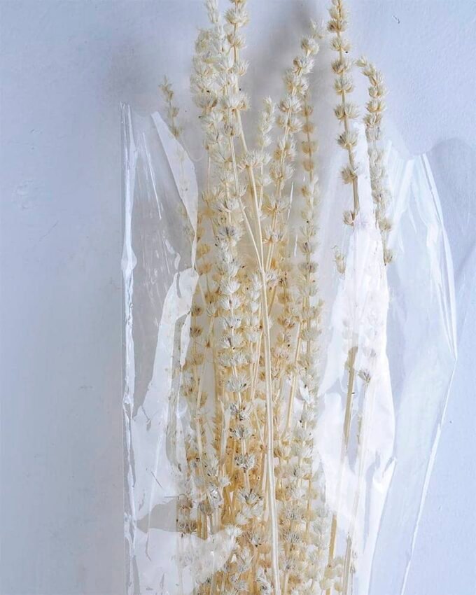 Dried Flowers 13*85CM leonrus japenicus GS-56619013-W1 2 Dried Flowers 13*85CM leonrus japenicus GS-56619013-W1