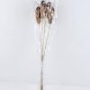 Dried Flowers 12*68cm metaplexis japonica bush*5 GS-56619025