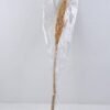 Dried Flowers 8*75CM sorghum GS-56619022