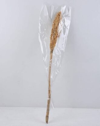 Dried Flowers 8*75CM sorghum GS-56619022