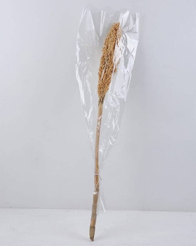 Dried Flowers 8*75CM sorghum GS-56619022