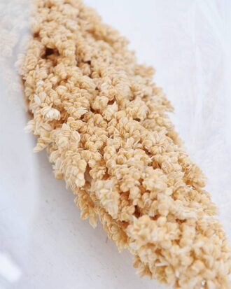 Dried Flowers 8*75CM sorghum GS-56619022