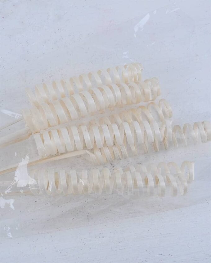 Dried Flowers 12*68CM willow bush*8 GS-56619015