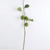 Artificial Branch fruit 12*92CM grass spray GS-14619013 2 Artificial Branch fruit 12*92CM grass spray GS-14619013
