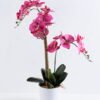 Artificial Flower 3D ORCHID SPRAY X3 IN POT GS-09819062CONTI-Z1