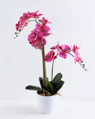 Artificial Flower 3D ORCHID SPRAY X3 IN POT GS-09819062CONTI-Z1