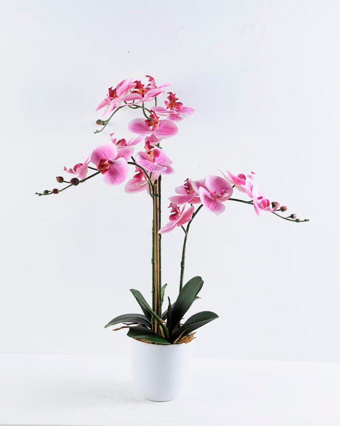 Artificial Flower 3D ORCHID SPRAY X3 IN POT GS-09819062CONTI